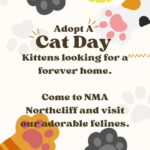 NMA Schools – Adopt a Cat Day