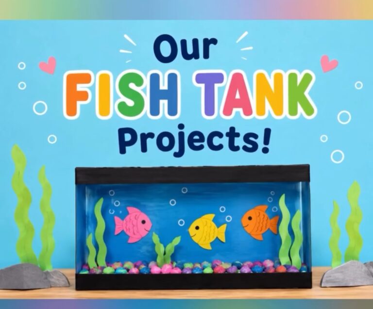 Springs Muslim School – Fish Tank Project