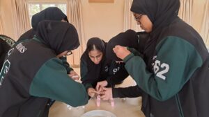 Nizamiya Mayfair – Grade 12 Guidance
